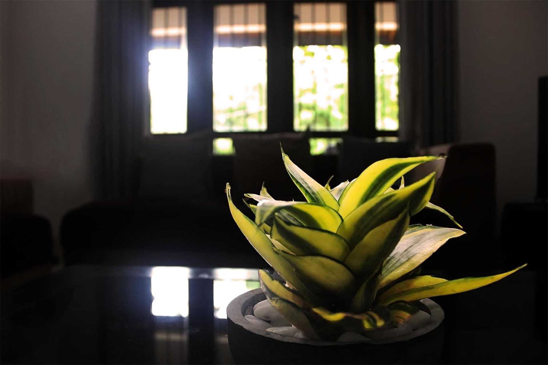 Seasons Villa Sigiriya, Sri Lanka Dambulla Bagian luar foto